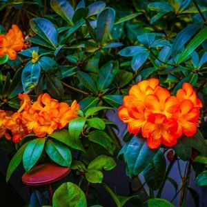 Meet your Posher, Agnieszka